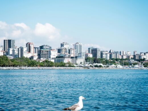 La côte méditerranéenne d’ouest en est seagull from moda